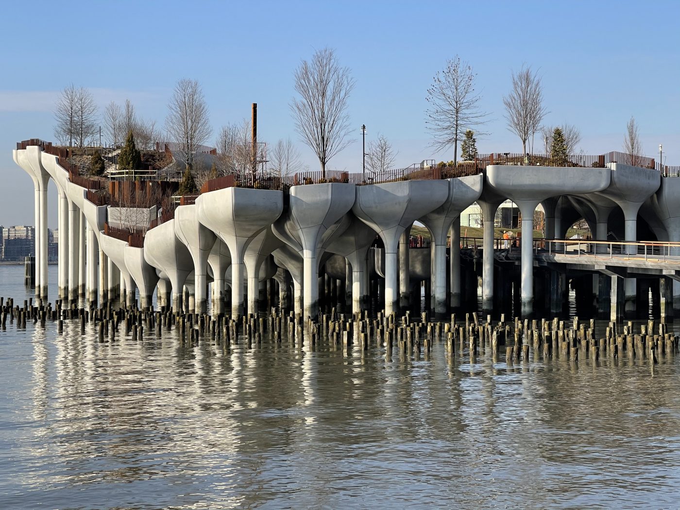 Accessories - Scott System