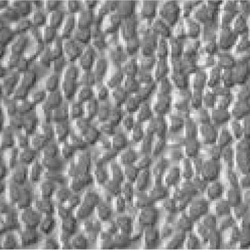 Stone 1245